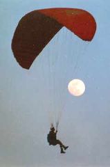 Evening Soaring at Packsaddle